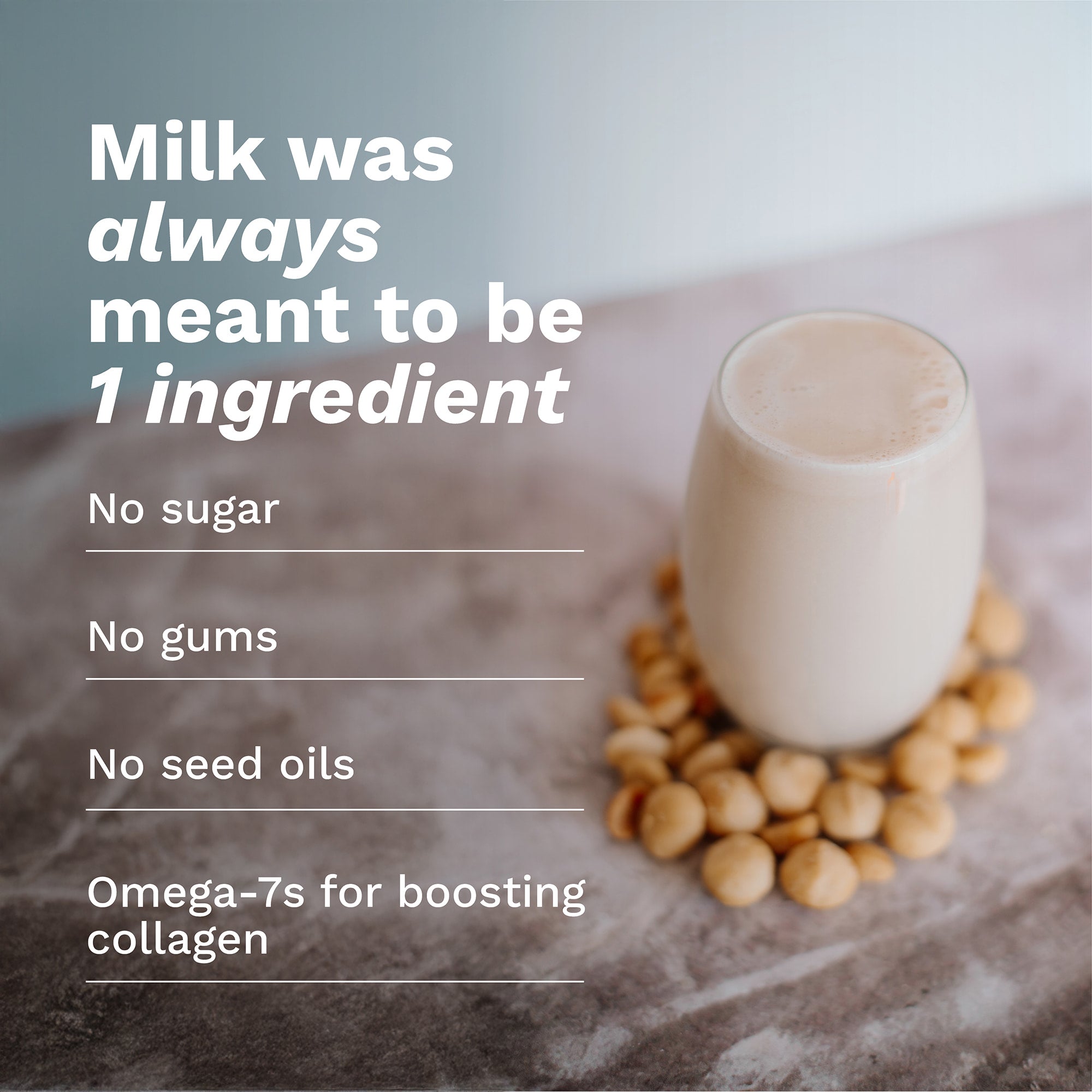 100% Macadamia Milk (12 Packs)